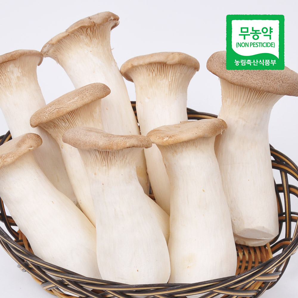 [무농약인증] 국내산 새송이버섯 2kg(특품)